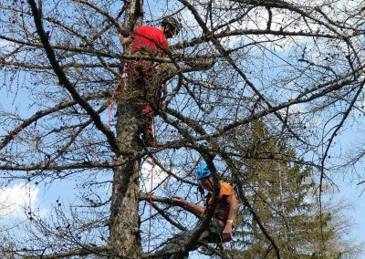 Bergrettung übt Großalarm in Schottwien und in Pernitz 2