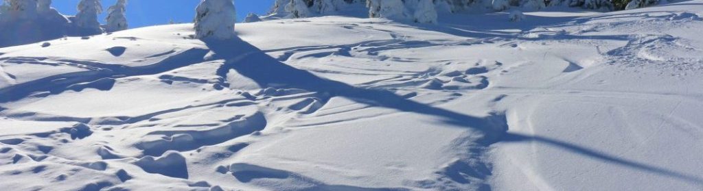 Tipps für deine nächste Skitour 1