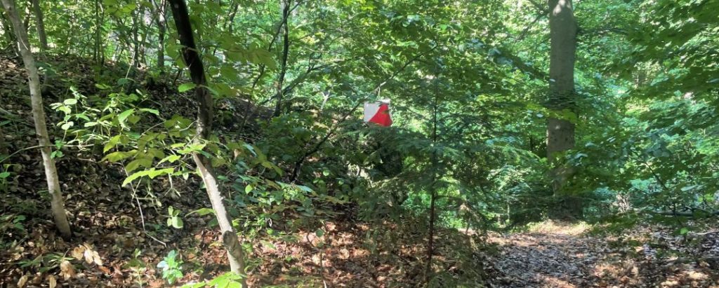 Orientierungslauf im Wienerwald 18
