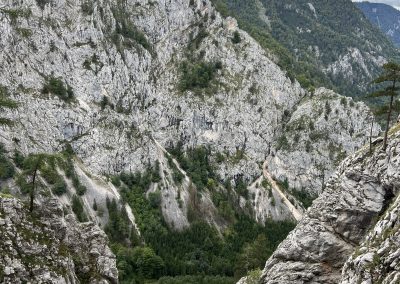 Weiterbildungskurs Sommer 1