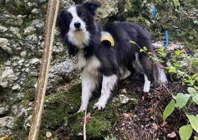 Herbstübung der Ortsstelle Göstling 3